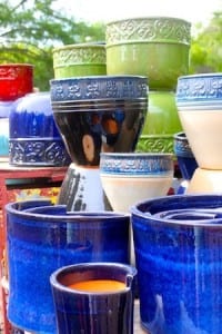 container plants An assortment of pottery for use with container plants