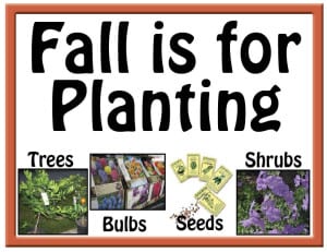 Fall is for planting!