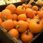 pumpkins-540242_640