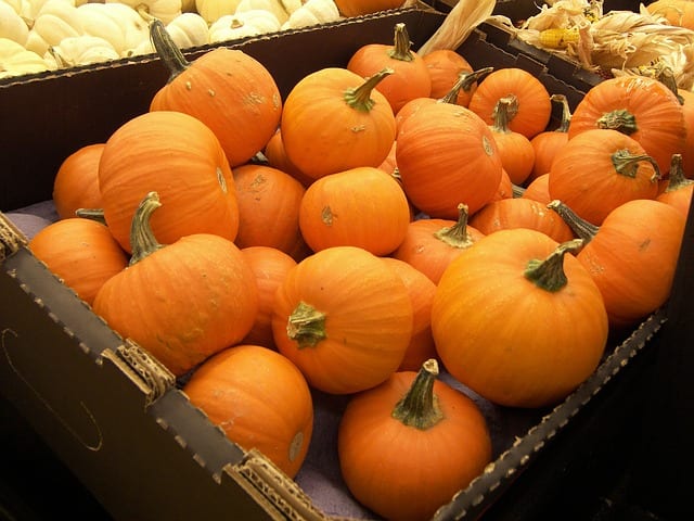 Pumpkins