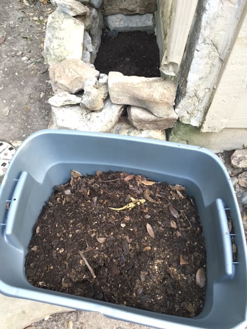 Vermicompost part two: Building my bed