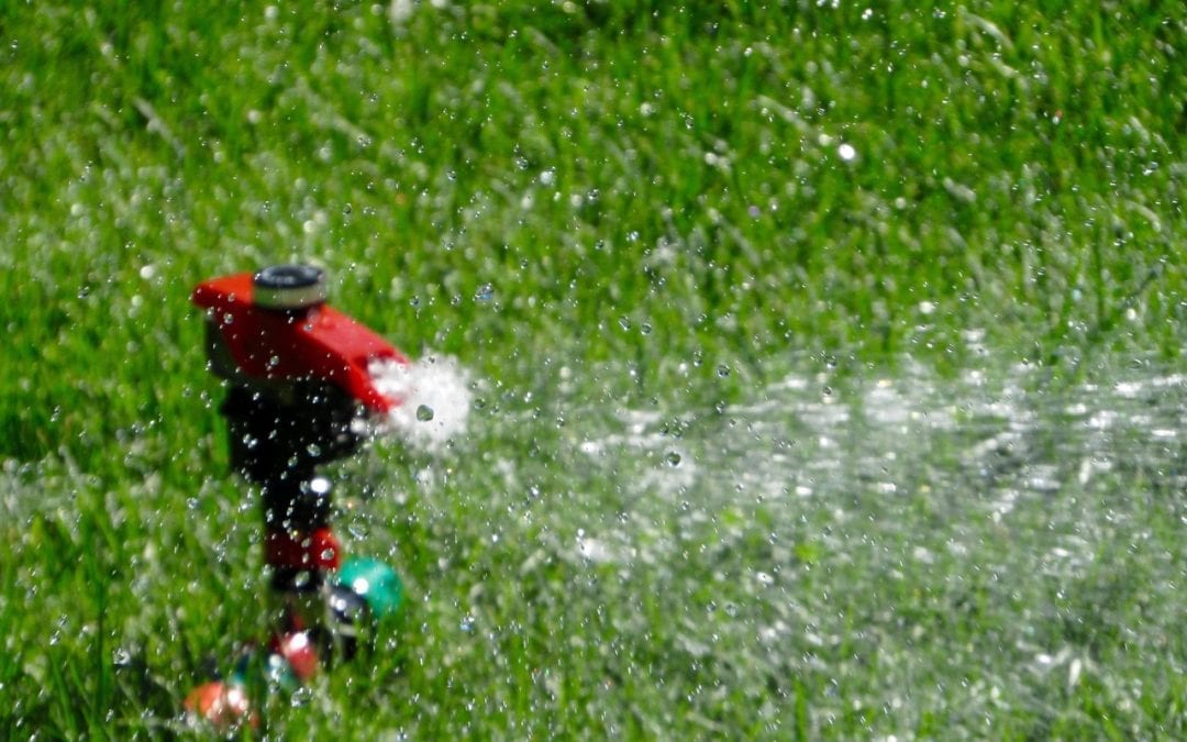 Sprinklers can be an efficient way of watering your lawn if you do it properly.