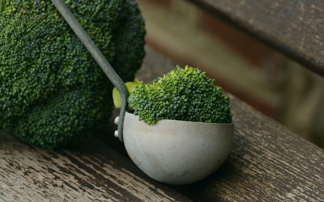 Broccoli: A Fall Garden Favorite
