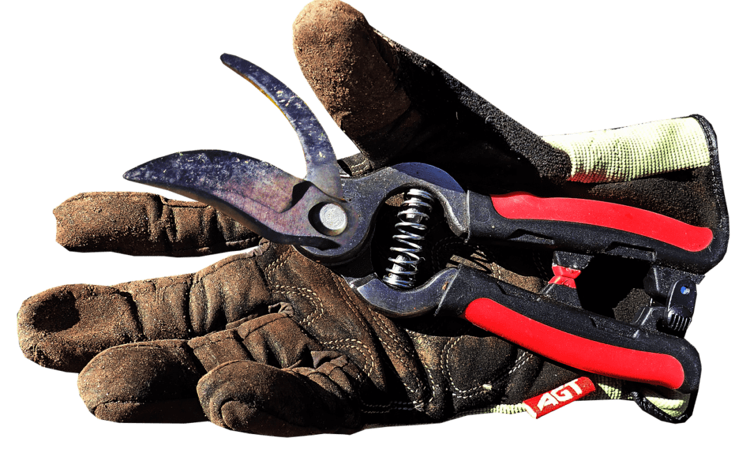 Not keeping pruners maintained is a gardening mistake.