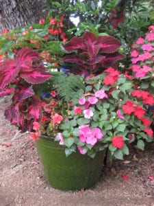 Container Gardening