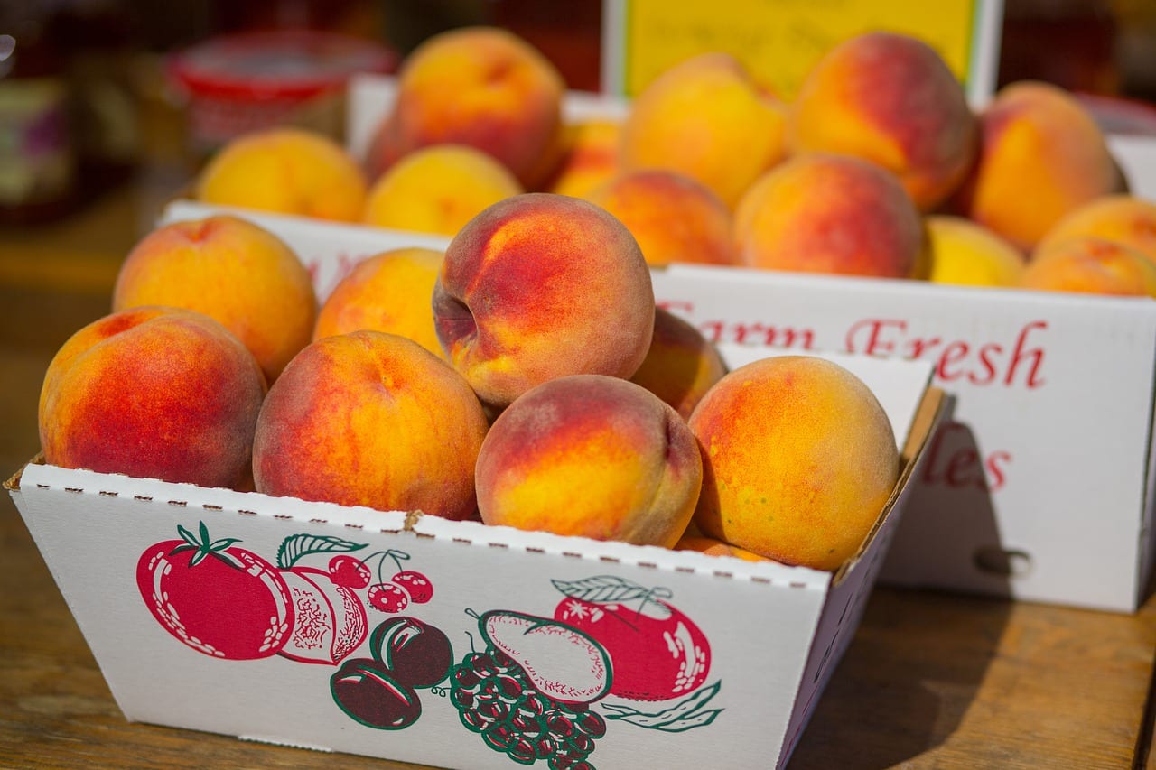 peaches-chill-hours-fruit-trees For fruit trees to have a good harvest, you must choose a variety with the right chill hours for your county.
