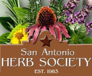 sahs_image-lg