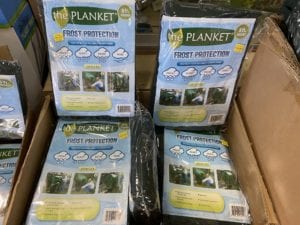 Frost-blanket-freeze-protection-plants Protecting plants from freeze damage is easy with frost blankets.