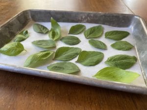 Preserving herbs by freezing allows you to have the taste of fresh herbs all year.