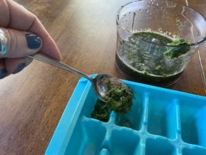 Preserving herbs by freezing is a convenient method for having herbs all year.