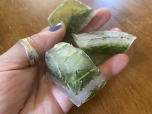 Ice trays are great for preserving herbs by freezing.