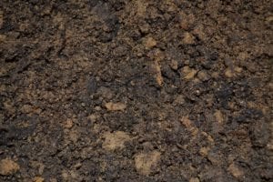 organic-fertilizer-soil Beautiful soil like this is created through the addition of organic fertilizer.