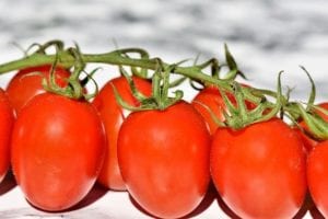 Grape tomatoes in a row.