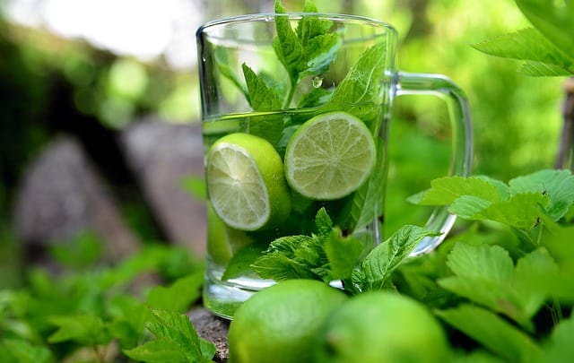 Mint in a refreshing pitcher of water.