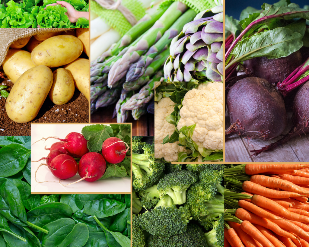 planting-pruning-spring-veggies-garden-february Veggie planting options for early spring gardens.