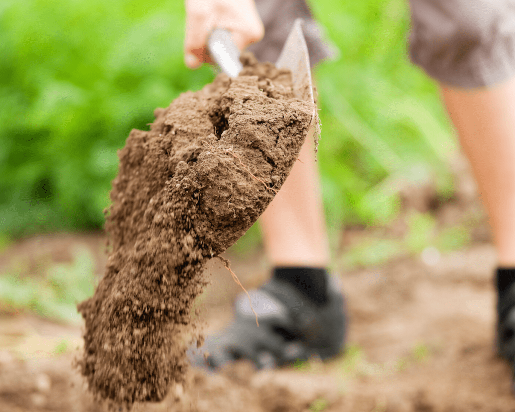 soil-compost-learning-center-vegetable-gardens Soil for vegetable gardens.