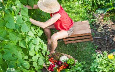 6 Non-Negotiables for Growing Spring Vegetables