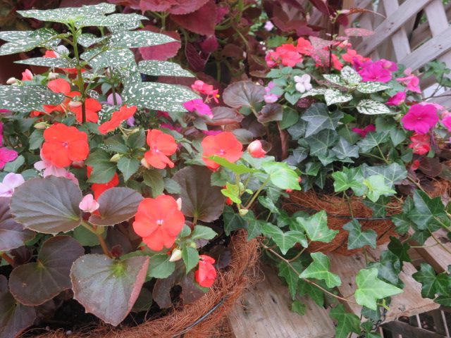 Shade containers full of plants.