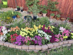 Pollinator garden at the butterfly landing.