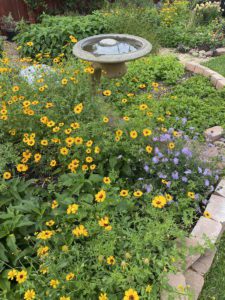 Pollinator garden at The Butterfly Landing
