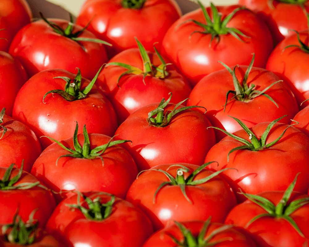 A bunch of tomatoes