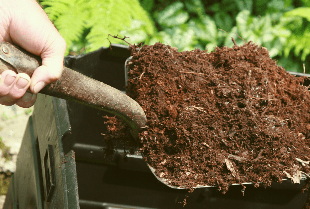 Composting 101: Compost Class Recap and Extra Tips