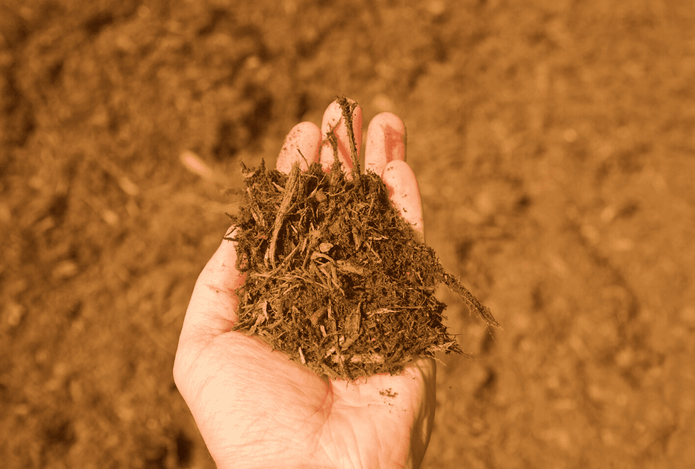 The Blog You Need To Read About Mulch!
