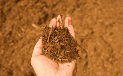 The Blog You Need To Read About Mulch!