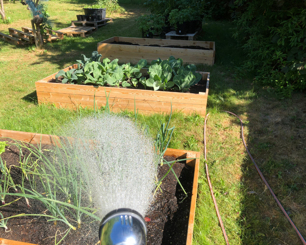 watering-garden Watering garden.