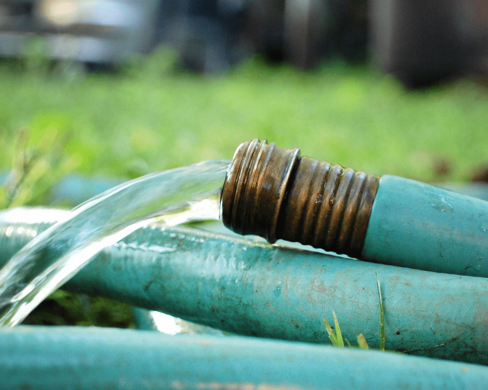 deep-soak-drought-water-hose Garden hose for deep watering during drought.