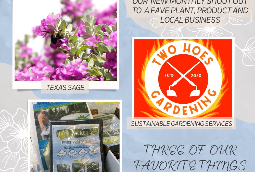 Collage of plant, product and local business