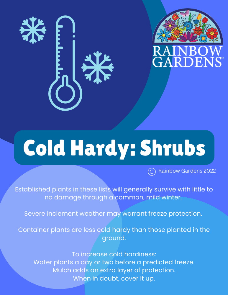 Cold-Hardy-Plants-Shrubs-image