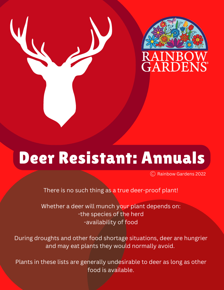 Deer-Resistant-Annuals-image
