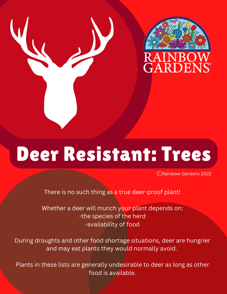 Deer-Resistant-Trees-image