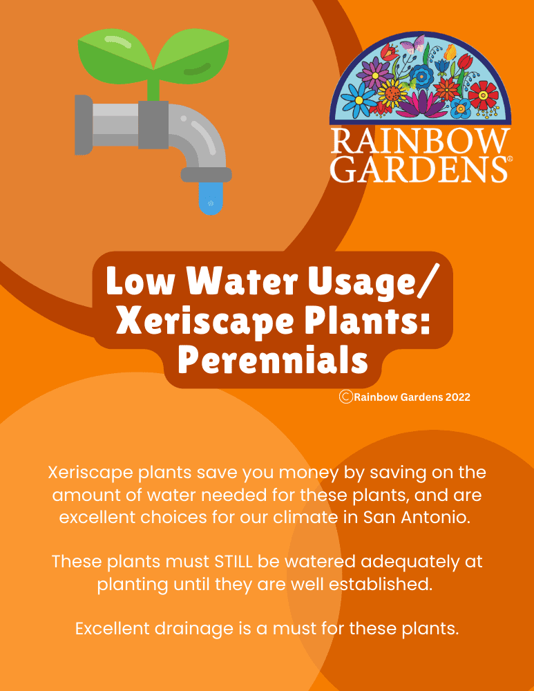 Low-Water-Usage-Xeriscape-plants-perennials-image