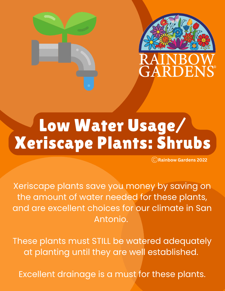 Low-Water-Usage-Xeriscape-shrubs-image