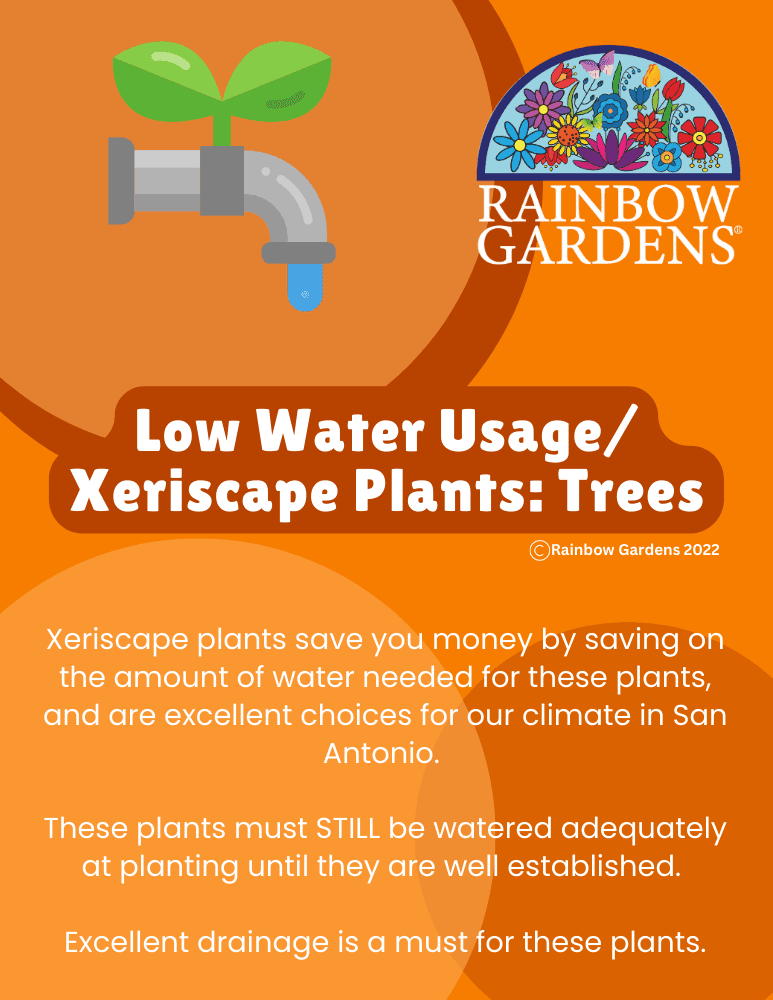 Low-Water-Usage-Xeriscape-trees-image