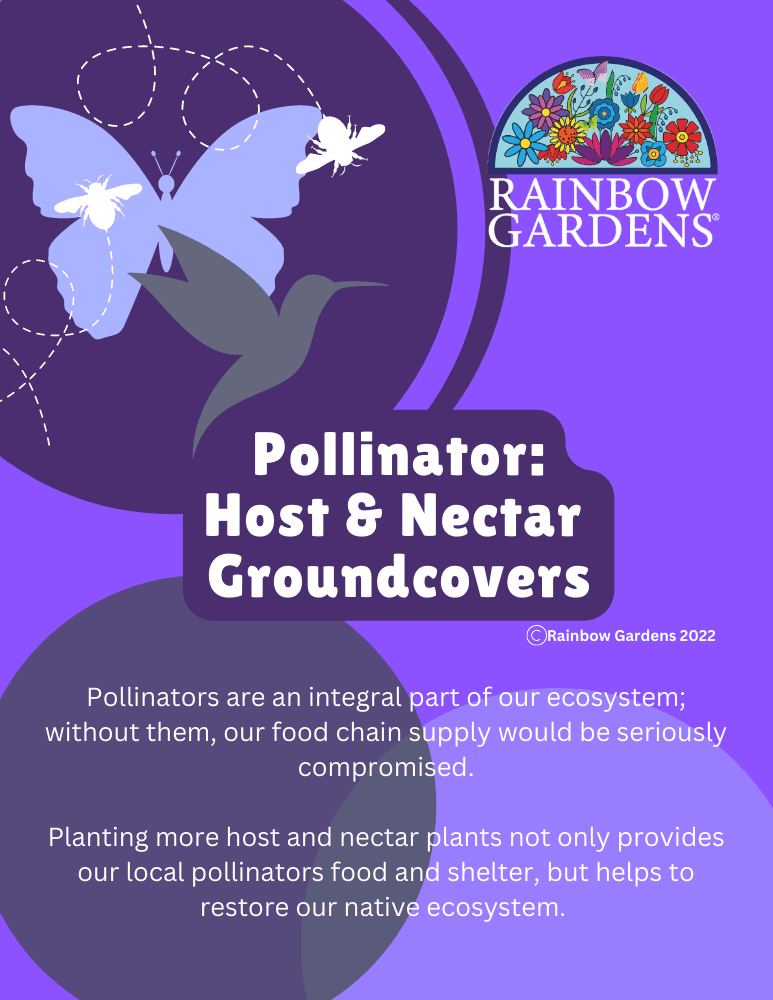 Pollinator-Host-Nectar-Groundcovers-image