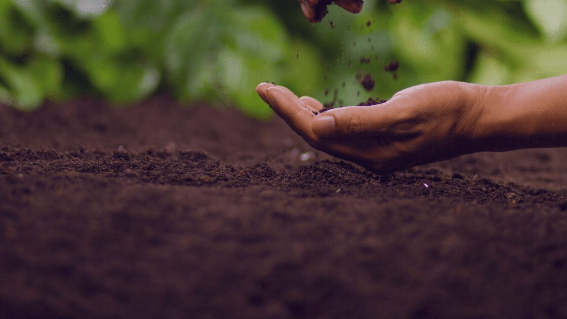 soil-prep-organic-matter-garden-building-soil Organic matter being added to a garden for soil prep.