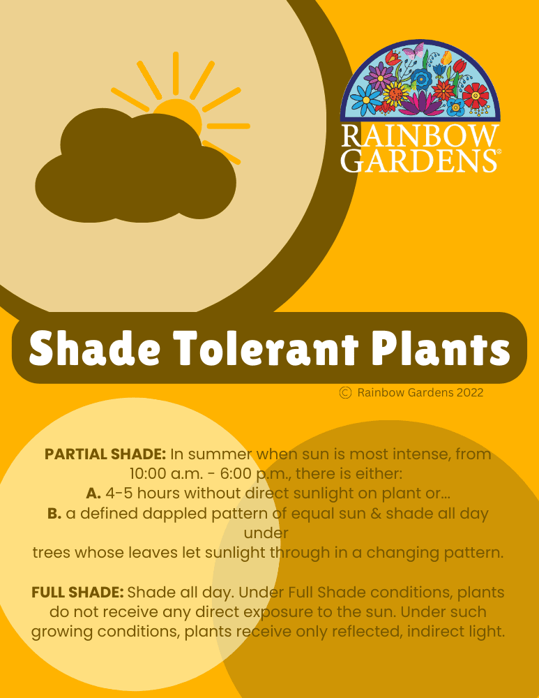 Shade-Tolerant Plants-Full-File-image