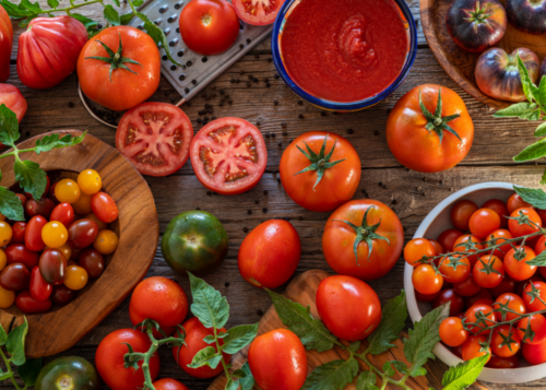 tomatoes-fall-veggies Tomatoes can be planted as fall veggies in San Antonio