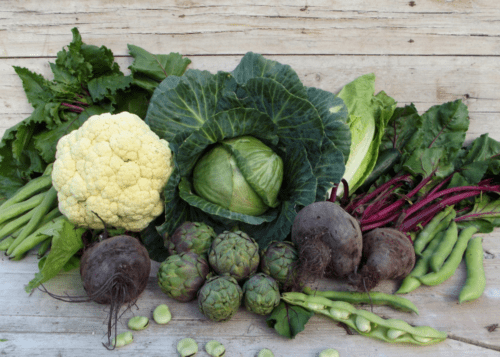 Cole crops are fall and winter veggies in San Antonio