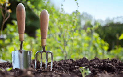 End of Summer Garden Maintenance and Fall Garden Planning