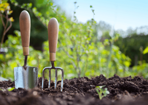 Gardening tools in a garden.