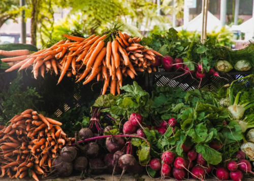 Root veggies for fall and winter plantings