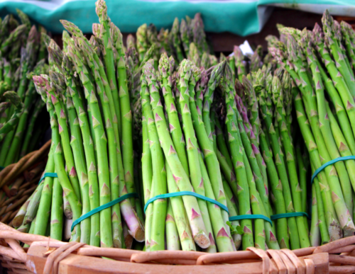 asparagus Asparagus
