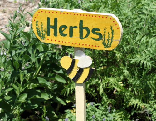 Get Planting! (13)