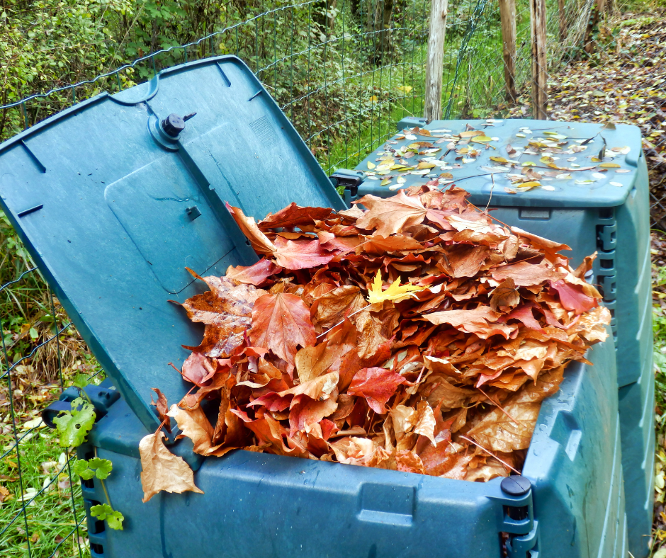 Leaves in compost bin.