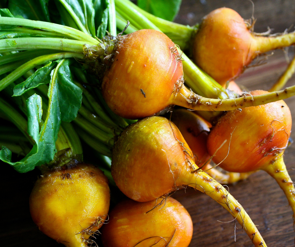 harvest-beets Harvested beets.