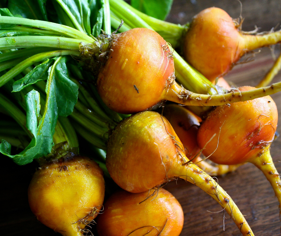 Harvested beets.